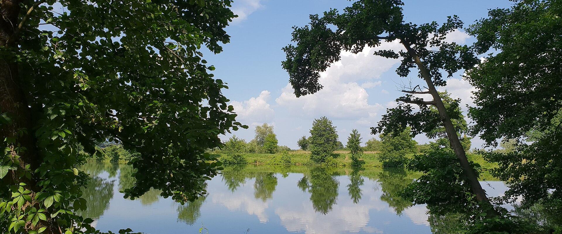 Bedekovčina