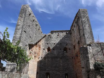 A low-angle view of a medieval stone fortress with two prominent towers and crenellated walls, featuring small arched windows and exposed brickwork, set against a blue sky with some greenery in the foreground.