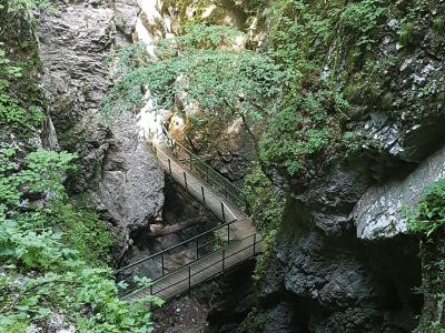 A wooden walkway with metal railings traverses a narrow, rocky gorge surrounded by dense green vegetation and steep limestone cliffs.