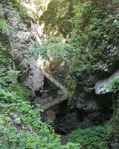 A wooden walkway with metal railings traverses a narrow, rocky gorge surrounded by dense green vegetation and steep limestone cliffs.