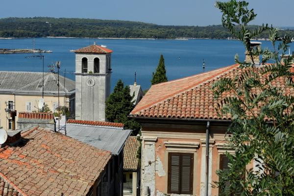 Cathedral of the Blessed Virgin Mary