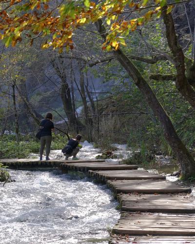 A wooden boardwalk with a rustic rail runs through the foreground, leading the eye toward a turquoise lake surrounded by dense green forest and rolling hills under a cloudy sky.