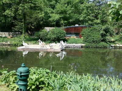 A pond among the trees of Zagreb Zoo in Maksimir Park