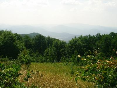Pohled na zamlzeny Gorski kotar z Velikeho Drgomalje (1154m)