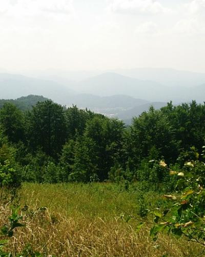 Pohled na zamlzeny Gorski kotar z Velikeho Drgomalje (1154m)