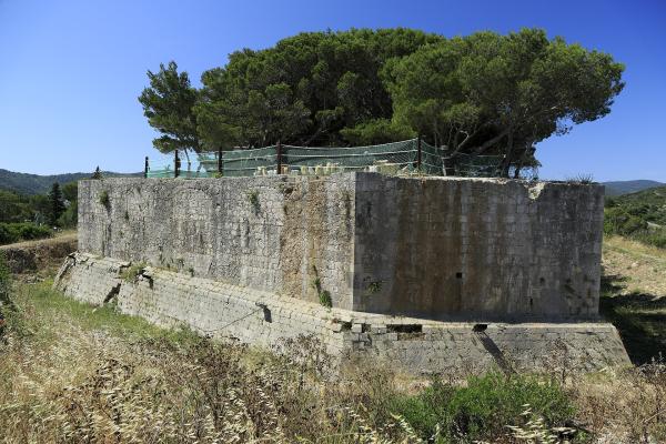 Fort George (Fortica)