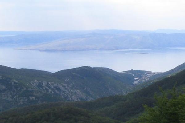 Vratnik