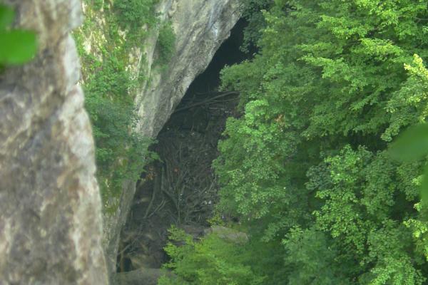 Pazin Cave