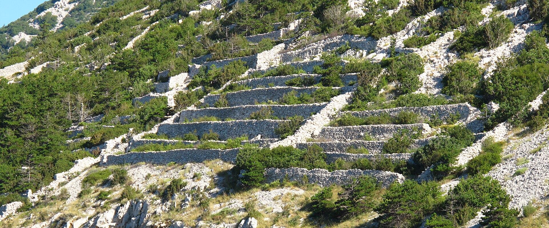 Bakar's Drystone walls