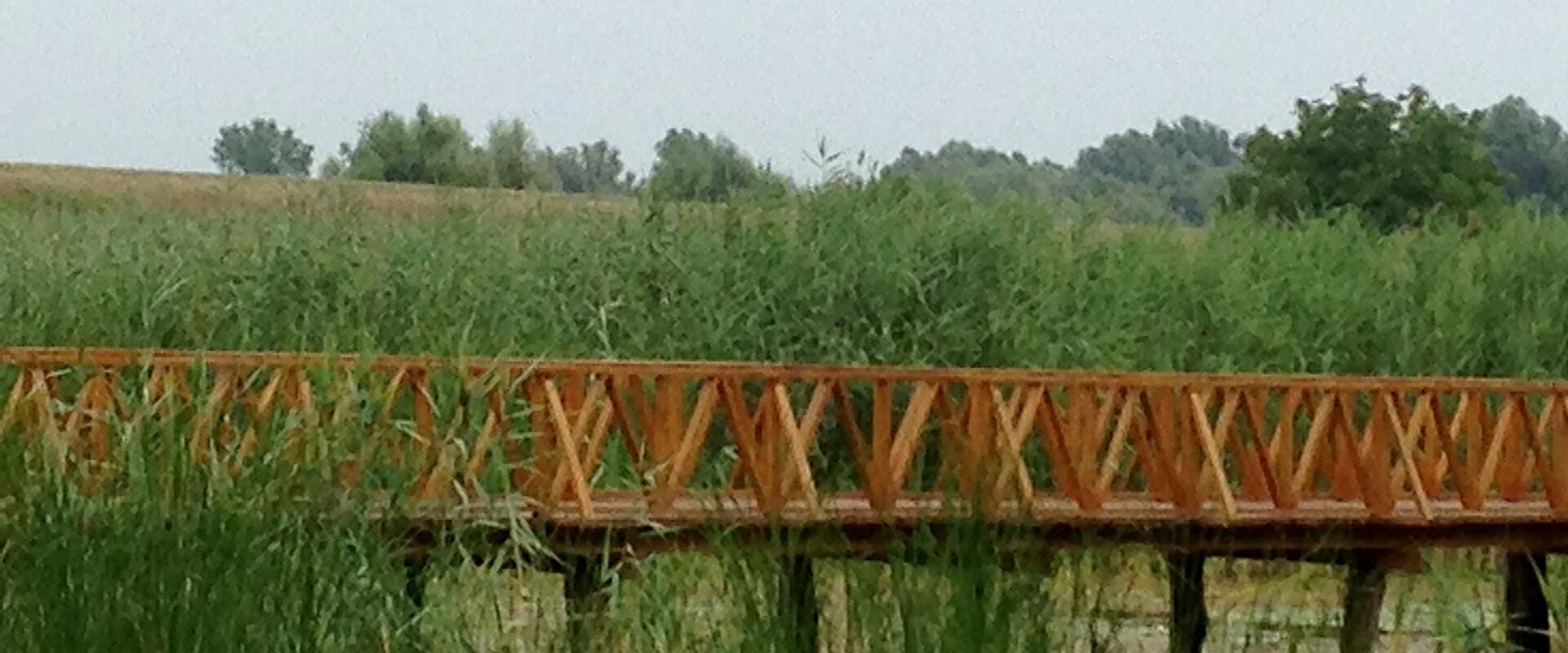 Baranja