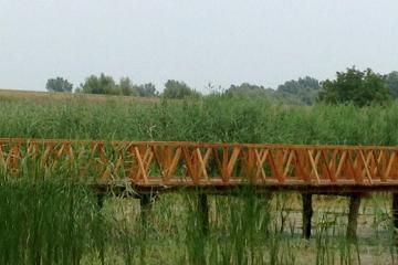 Baranja