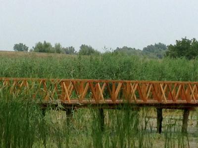Baranja