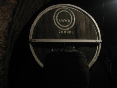 Huge historic oak wine barrels in the underground cellars of Kneževi Vinogradi