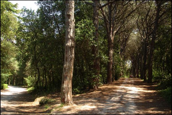 Punta Corrente (Golden Cape) Park
