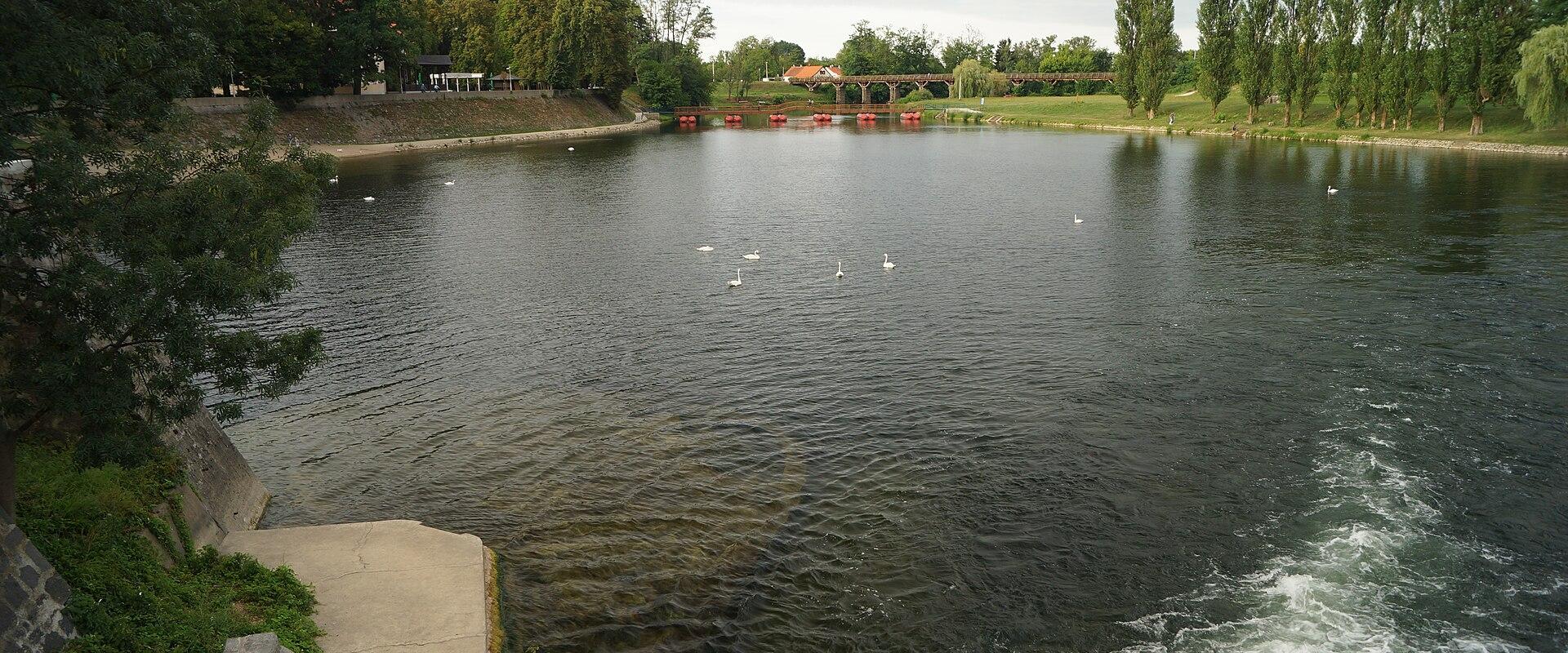 A wide river scene featuring a stone embankment and concrete steps in the foreground, with swans swimming in the water and a distinctive arched wooden bridge (the "Bridge of Sighs") visible in the background.