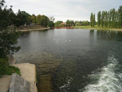 A wide river scene featuring a stone embankment and concrete steps in the foreground, with swans swimming in the water and a distinctive arched wooden bridge (the "Bridge of Sighs") visible in the background.