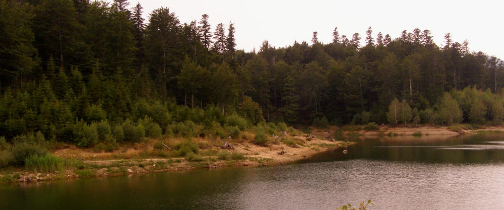 View of Lake Lepenica