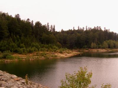 A calm lake bordered by a rocky shoreline in the foreground and a dense coniferous forest on the opposite bank, with a watermark reading "www.RIBOLOVA.info" in the bottom-left corner.