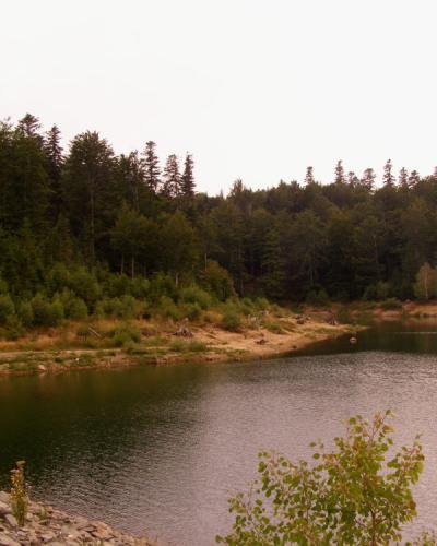 A calm lake bordered by a rocky shoreline in the foreground and a dense coniferous forest on the opposite bank, with a watermark reading "www.RIBOLOVA.info" in the bottom-left corner.