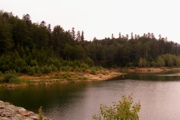 View of Lake Lepenica