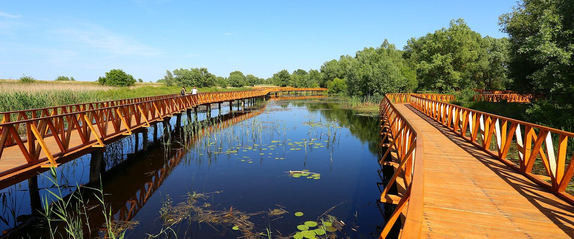 Bio-ecological Station