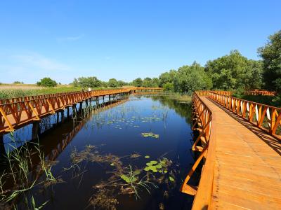A long, winding wooden boardwalk with distinctive orange-brown railings extends over a calm, dark-water wetland channel filled with lily pads and reeds under a clear blue sky.