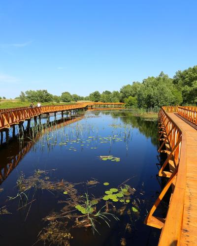 A long, winding wooden boardwalk with distinctive orange-brown railings extends over a calm, dark-water wetland channel filled with lily pads and reeds under a clear blue sky.