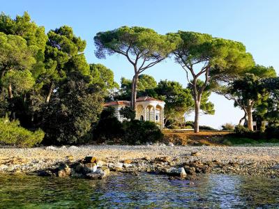 Pines and clear water at Zlatni Rt forest park near Rovinj