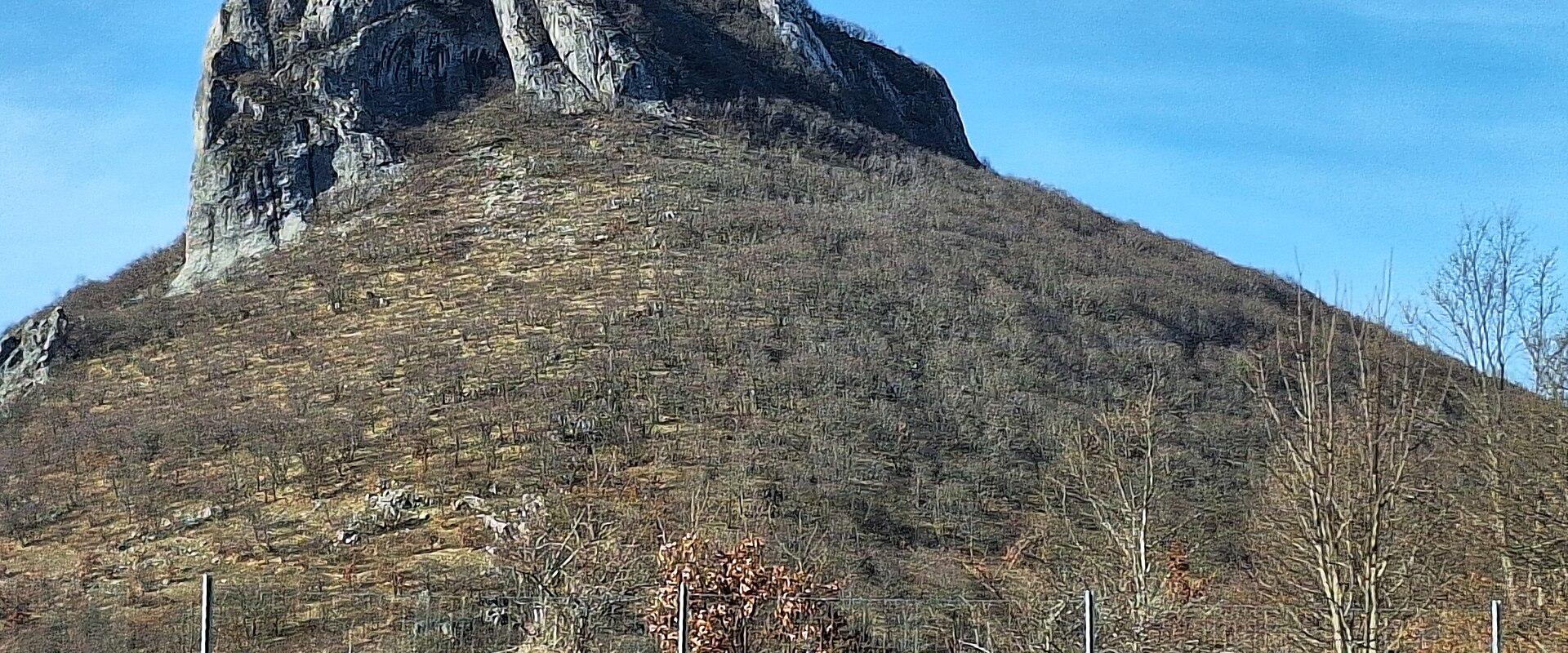 Sveti Rok