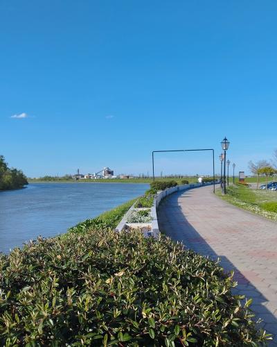 A paved riverside promenade with lamp posts and manicured hedges runs alongside a wide river, with a yellow building featuring a portrait and text on the right and industrial structures visible across the water.