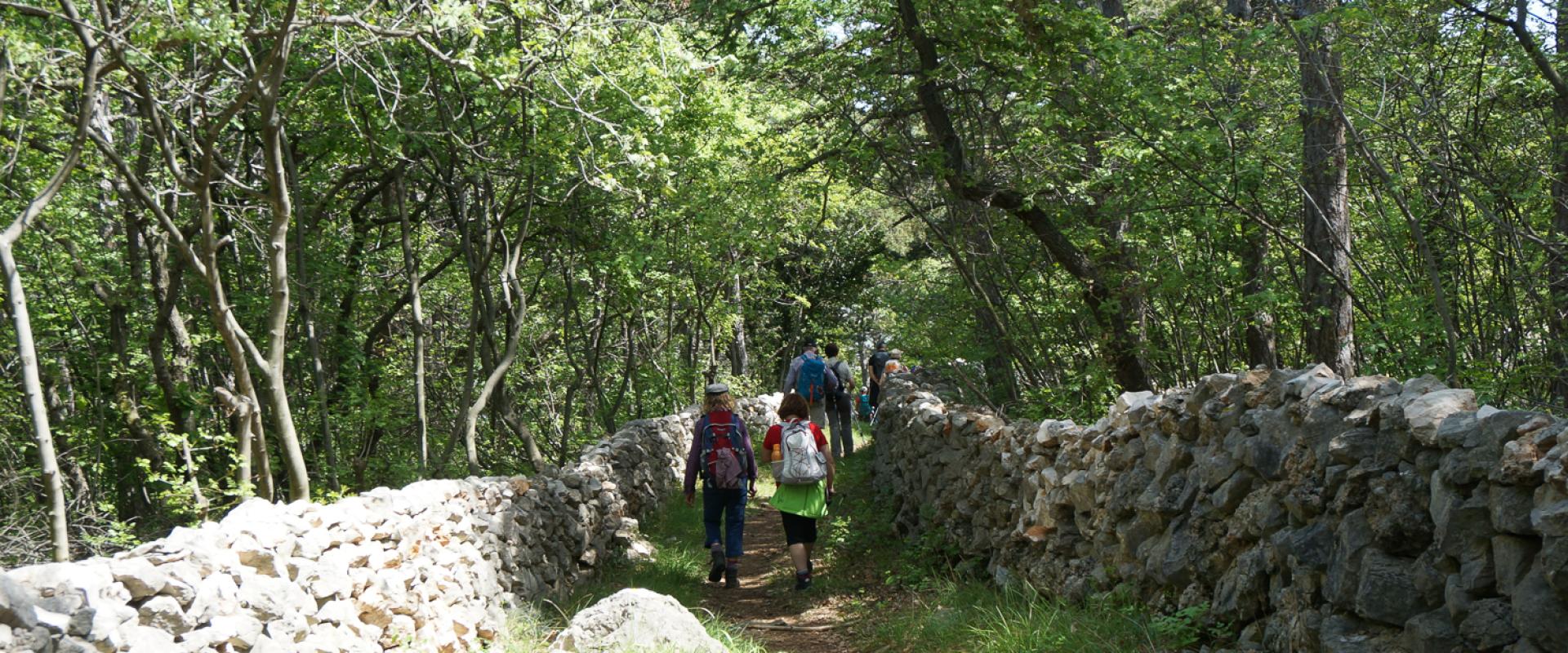 Baška Glagolitic Trail (Bašćanska glagoljska staza)