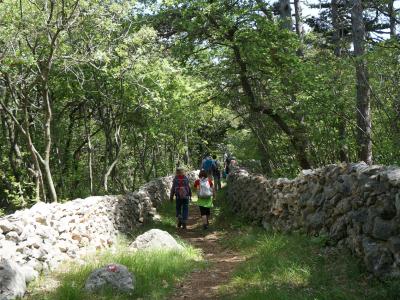 A group of hikers walks along a dirt path flanked by traditional dry-stone walls in a wooded area, with a red trail marker visible on a rock in the foreground.