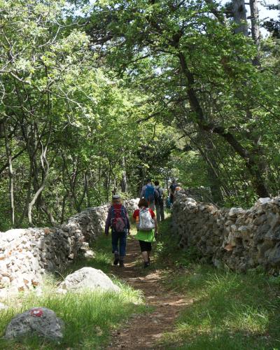 A group of hikers walks along a dirt path flanked by traditional dry-stone walls in a wooded area, with a red trail marker visible on a rock in the foreground.