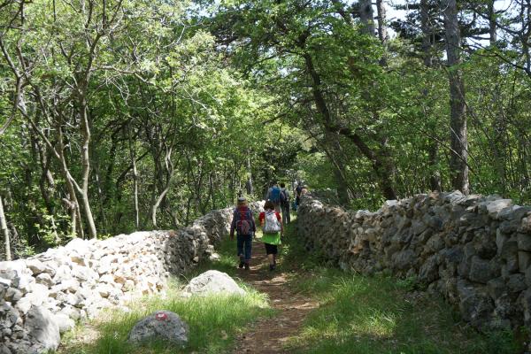 Baška Glagolitic Trail (Bašćanska glagoljska staza)