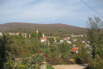 Kuterevo