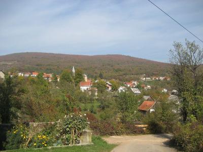 Kuterevo
