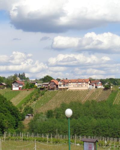 Vugrišinec - vinogradi