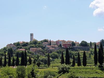 A hilltop village with terracotta-roofed buildings, a prominent square bell tower, and rows of cypress trees in the foreground.