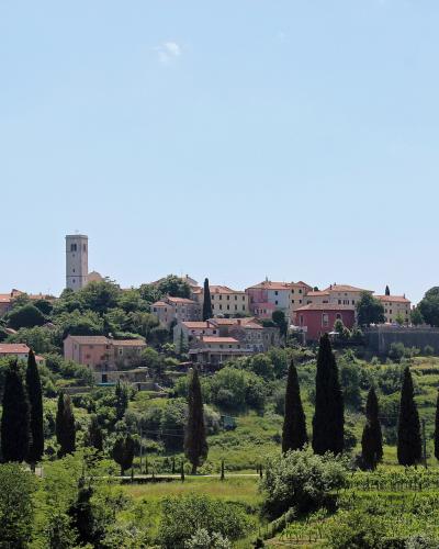 A hilltop village with terracotta-roofed buildings, a prominent square bell tower, and rows of cypress trees in the foreground.