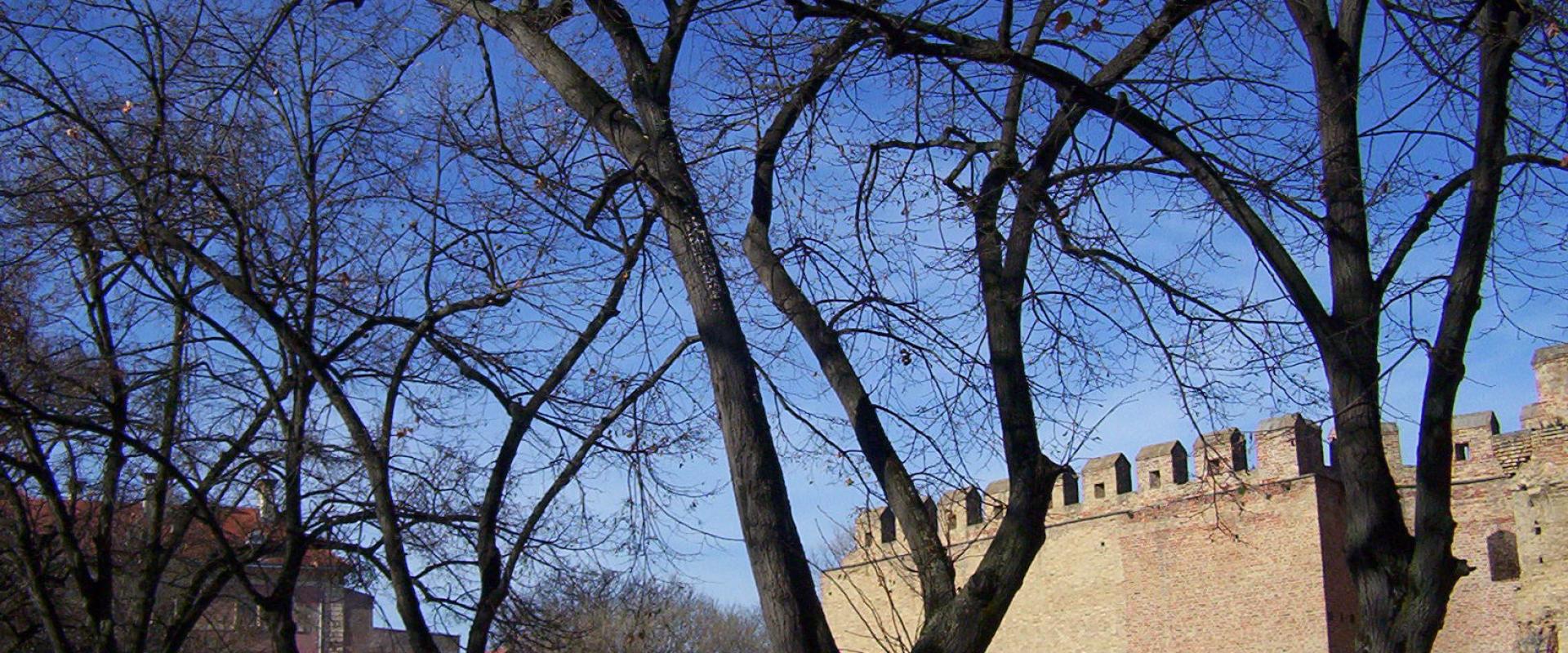 Medieval defensive walls of the Ilok fortress among bare winter trees