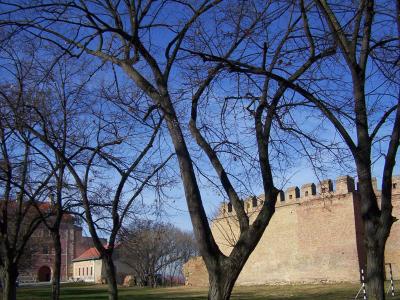 Medieval defensive walls of the Ilok fortress among bare winter trees