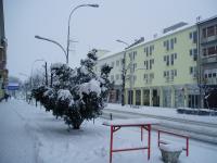 Hotels