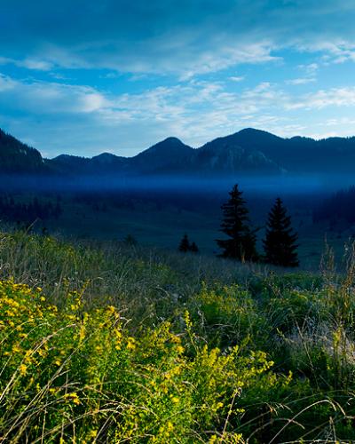Veliki-Lubenovac Uvala NatPark-NVelebit Dinarides Croatia 5