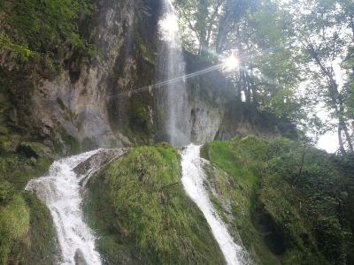 A waterfall cascading down a mossy rock face into a stream, surrounded by dense green forest with sunlight filtering through the trees.