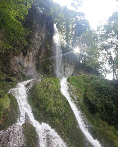 A waterfall cascading down a mossy rock face into a stream, surrounded by dense green forest with sunlight filtering through the trees.