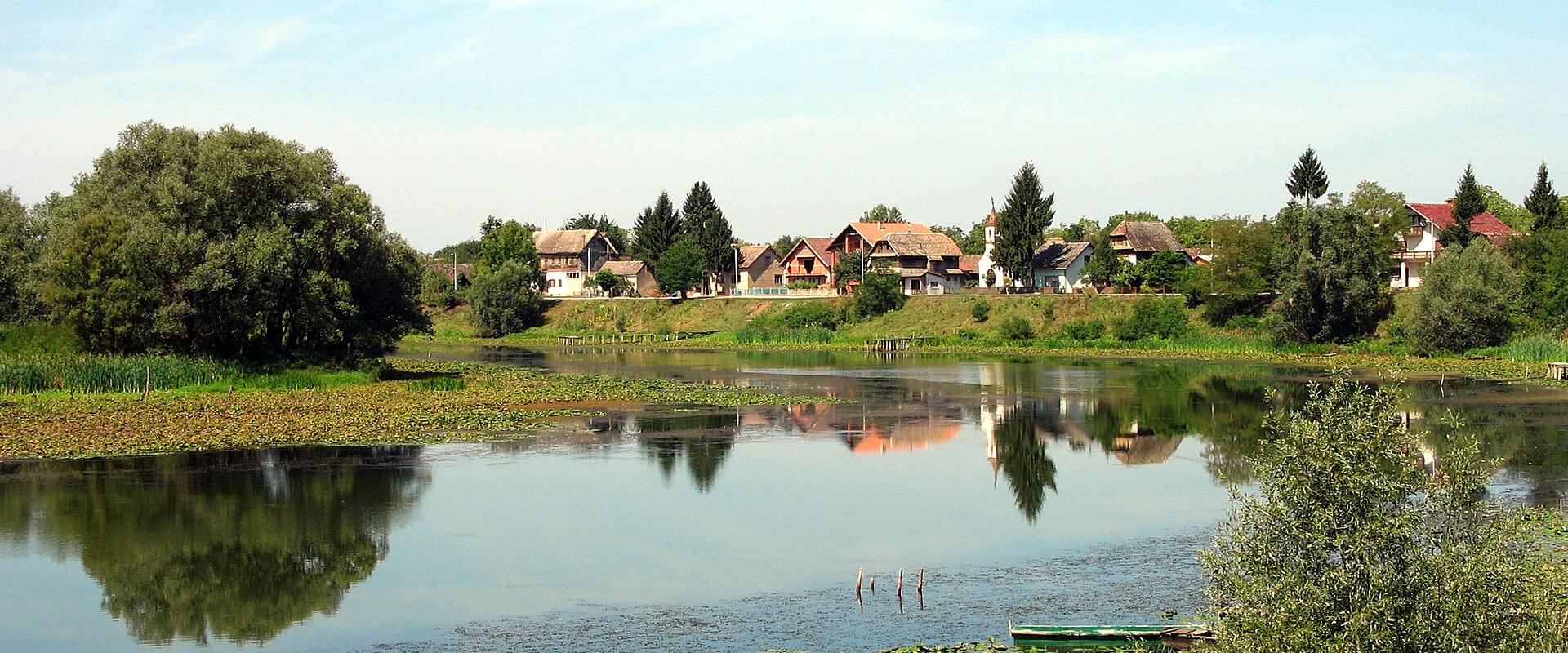 Mužilovčica