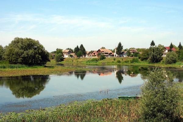 Mužilovčica
