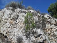 Lastovo Island