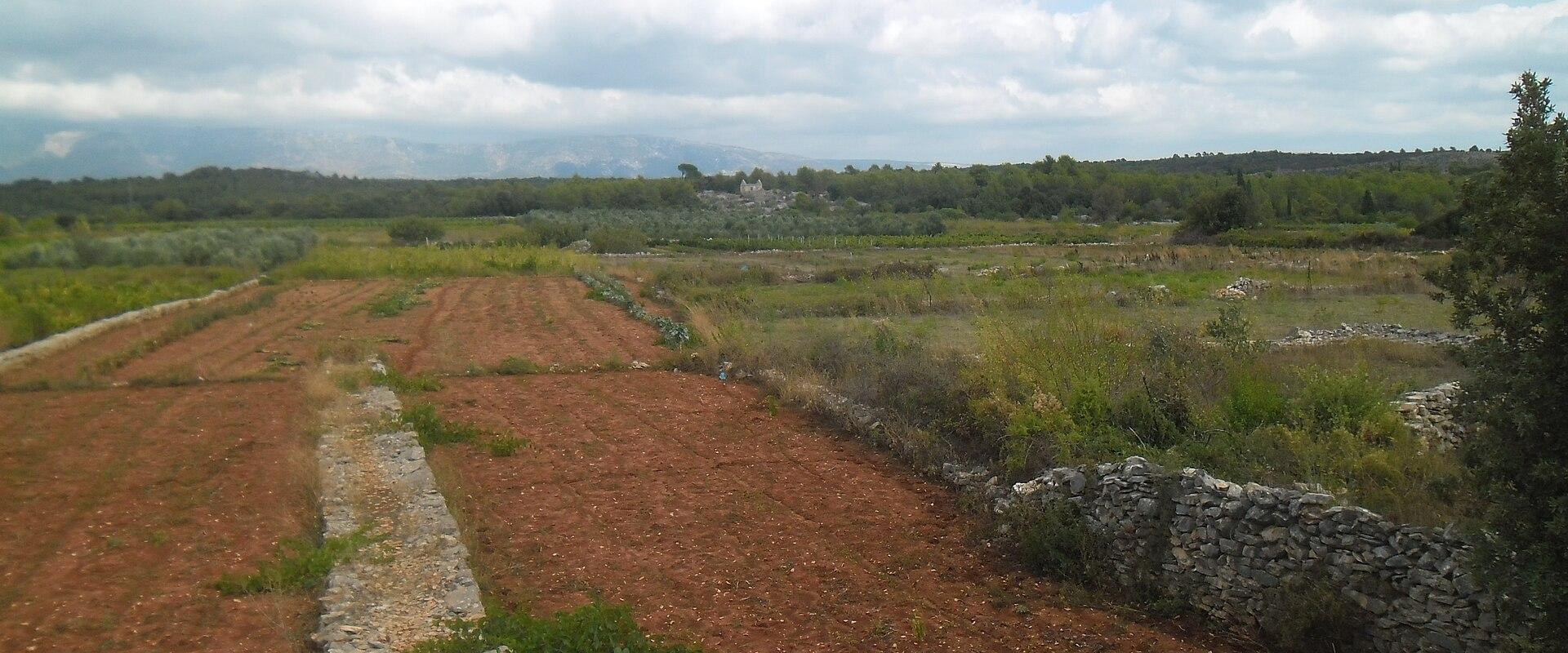 Stari Grad Plain (Starogradsko polje)