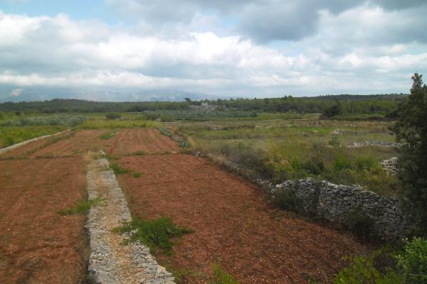 Stari Grad Plain (Starogradsko polje)